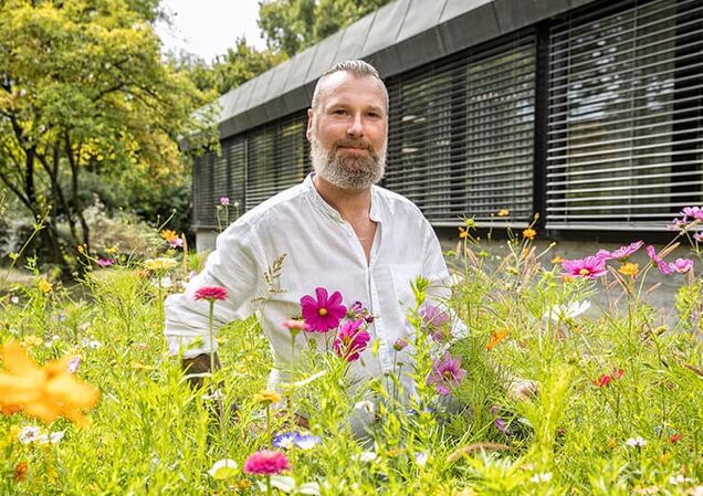 Auf unserem Firmengelände hat unser Gärtner bienenfreundliche Wildblumenwiesen angelegt.